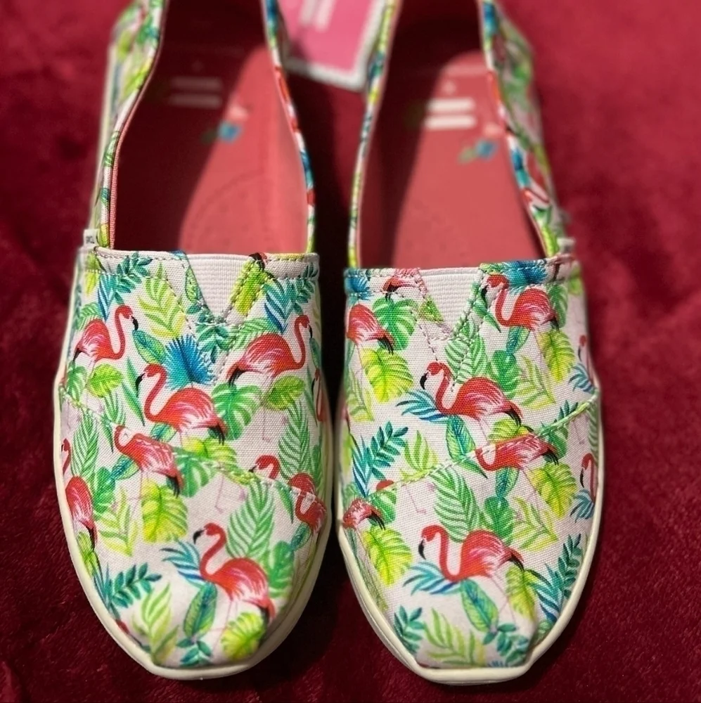 LIMITED Edition Pink Flamingo Toms Y5‎